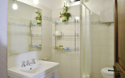 Accommodatie:&nbsp;Mimosa