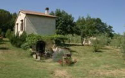 Accommodatie:&nbsp;Zi'momo