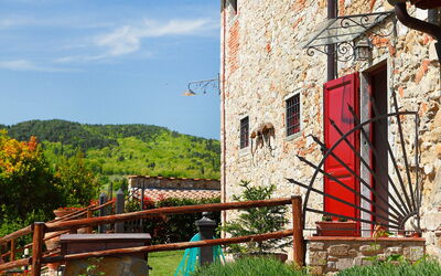 Locazione Turistica Selvapiana