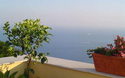 From first terrace