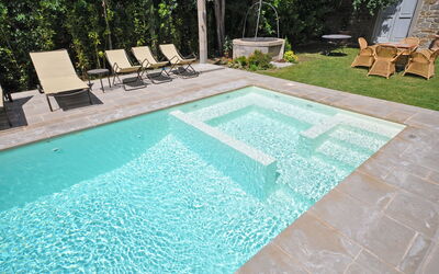 Primula