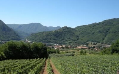 Accommodatie:&nbsp;Maria Luisa