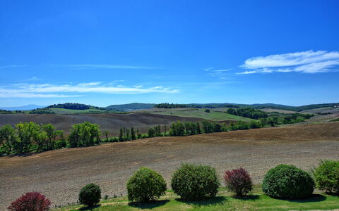 San Donnino: Lucht, Heuvel, Wolk, Hoogland, Boom, Grasland, Landelijk Gebied, Wildernis, Gras, Veld