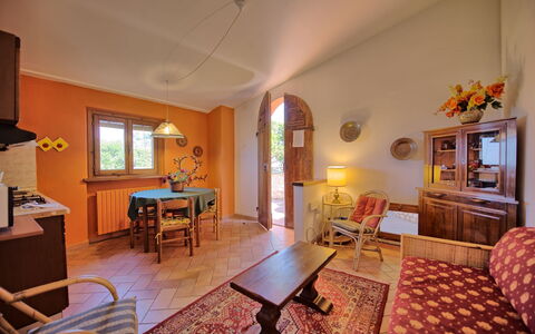 Accommodatie:&nbsp;Belvedere