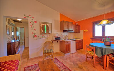 Accommodatie:&nbsp;Belvedere
