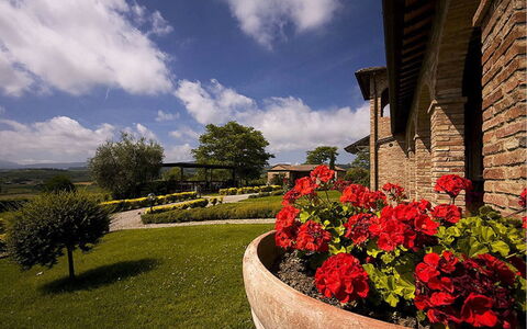 Sanguineto: Bloem, Wolk, Fabriek, Lucht, Eigendom, Gebouw, Venster, Plantkunde, Blad, Vegetation
