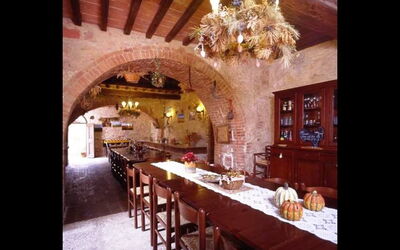Accommodatie:&nbsp;Alice