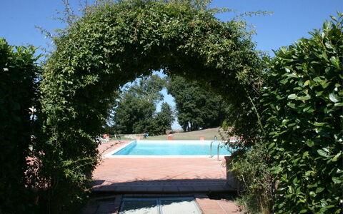 Fattoria le Chianacce: Boog, Eigendom, Architectuur, Boom, Lucht, Plantkunde, Struik, Tuin, Fabriek, Onroerend Goed