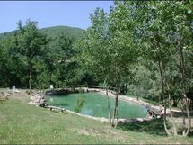 Accommodatie:&nbsp;Rosa Canina