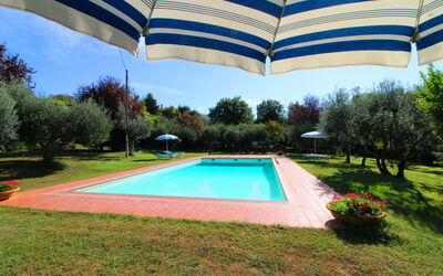 Ca di Maestro: Fabriek, Eigendom, Water, Paraplu, Lucht, Azure, Boom, Zwembad, Schaduw, Gebouw