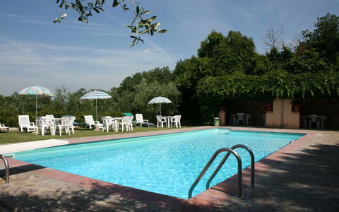 Accommodatie:&nbsp;Il Giardino