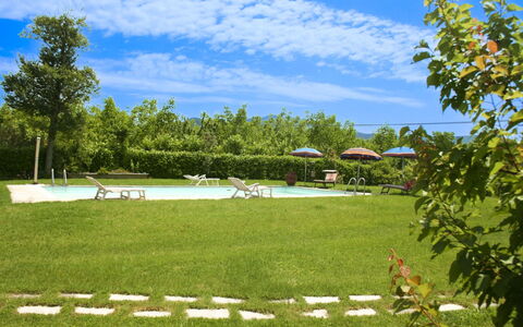 Pozzonovo: Land Lot, Gazon, Tuin, Weide, Zwembad, Schaduw, Buitenmeubels, Park, Landscaping, Werf