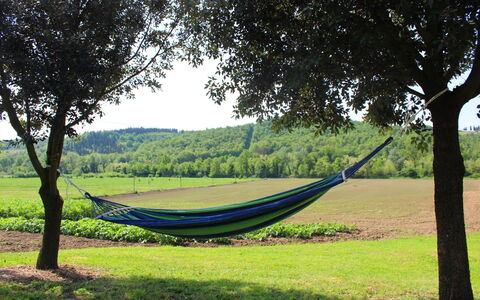 Villa Alabastro: Fabriek, Lucht, Boom, Schaduw, Land Lot, Natuurlijk Landschap, Hoogland, Hout, Gras