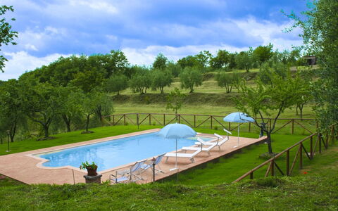 Country House Il Galleto: Huis, Struik, Landelijk Gebied, Verblijf, Landgoed, Dorp, Boerderij, Tuin, Landscaping