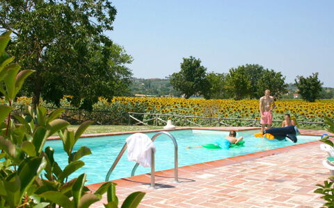 Il Viaggiolo: Zwembad, Vrije Tijd, Buitenmeubels, Recreatie, Tuin, Toevlucht, Vakantie, Schaduw, Landscaping, Eco Hotel