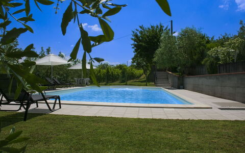 Podere San Bono: Zwembad, Buitenmeubels, Toevlucht, Schaduw, Tuin, Eco Hotel, Landscaping, Backyard, Ligstoel, Landgoed