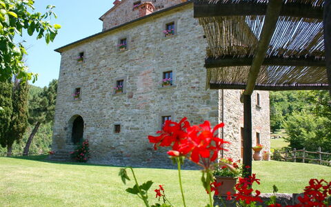Torre di Vignale: Bloem, Fabriek, Gebouw, Eigendom, Venster, Petal, Lucht, Boom, Vegetation, Gras