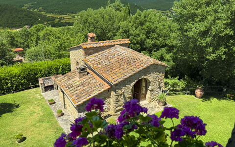 Torre di Vignale: Boom, Landschap, Land Lot, Landelijk Gebied, Park