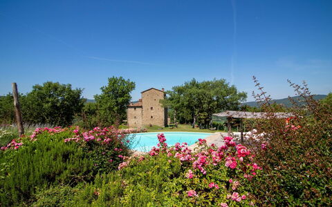 Torre di Vignale: Boom, Landschap, Land Lot, Landelijk Gebied, Park
