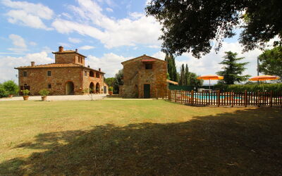 Le Rondini