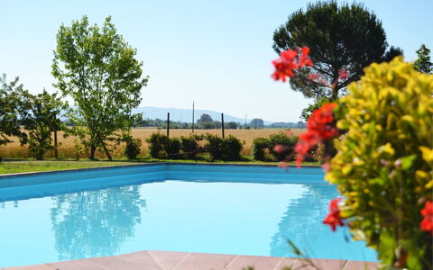 Villa Cantagallo: Water, Fabriek, Lucht, Zwembad, Bloem, Azure, Natuur, Boom, Gras, Natuurlijk Landschap