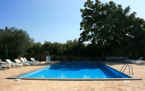 Villa Iris: Water, Lucht, Watervoorraden, Zwembad, Natuur, Azure, Schaduw, Rechthoek, Boom, Gras