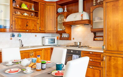 Accommodatie:&nbsp;Belvedere 300.2