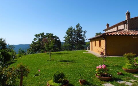 Casa la Primula: Lucht, Fabriek, Eigendom, Venster, Gebouw, Bloempot, Boom, Bloem, Natuurlijk Landschap, Land Lot