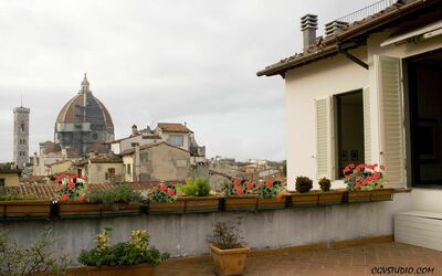 Apartment Oriuolo - Florence, Toscane, Italië