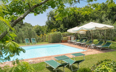 Centolivi 14: Tuin, Toevlucht, Buitenmeubels, Landgoed, Schaduw, Gazon, Eco Hotel, Hacienda, Landscaping, Werf