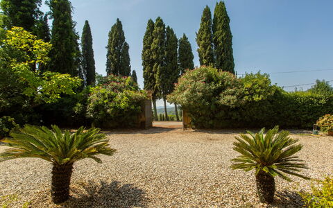 Villa Pedone: Fabriek, Lucht, Plantengemeenschap, Boom, Land Lot, Gras, Evergreen, Arecales, Natuurlijk Landschap, Woody Plant