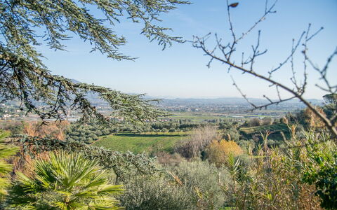 Villa Pedone: Lucht, Fabriek, Plantengemeenschap, Natuurlijk Landschap, Land Lot, Boom, Takje, Gras, Landschap, Plain