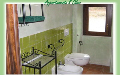 Accommodatie:&nbsp;L'olivo