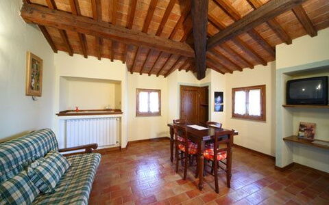 Accommodatie:&nbsp;Mimosa