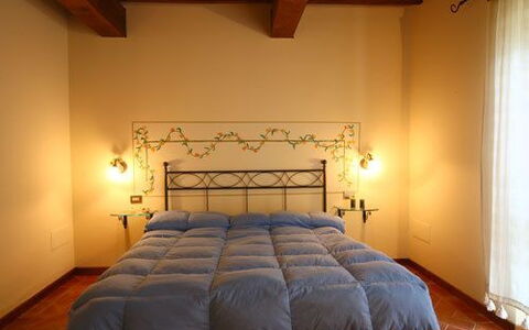 Accommodatie:&nbsp;Violetta