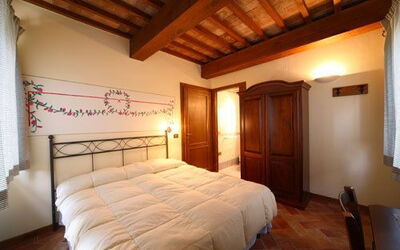 Accommodatie:&nbsp;Mimosa