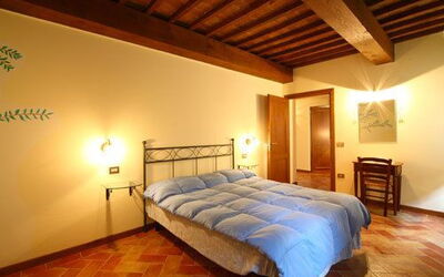 Accommodatie:&nbsp;Mimosa