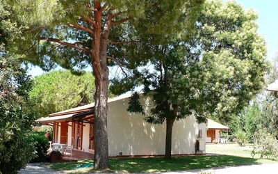 Accommodatie:&nbsp;Venturina 200.1