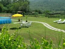 garden and pool