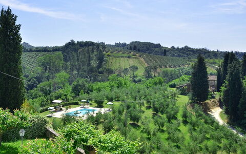 Villa Buonaparte: Vegetation, Natuur, Natuurlijk Landschap, Heuvel Station, Natuurgebied, Boom, Biome, Wildernis, Plantkunde, Berg