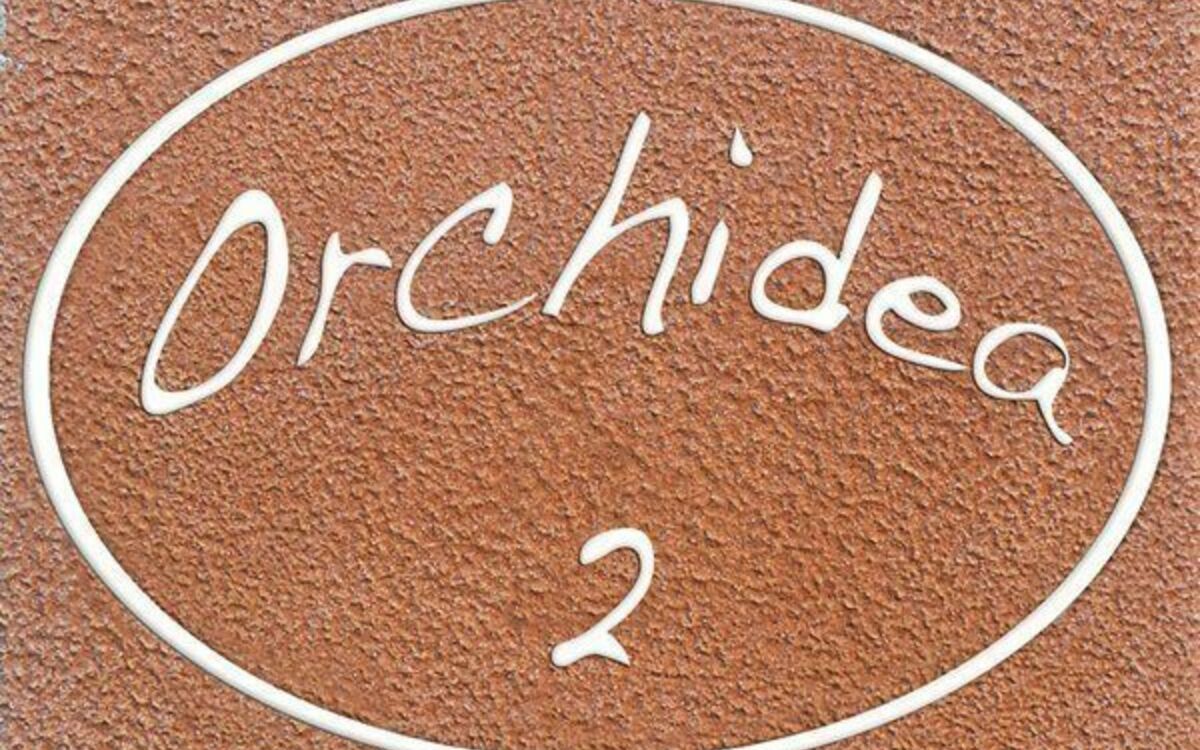 Accommodatie:&nbsp;Orchidea