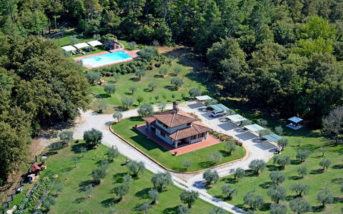 La Casetta nel Bosco: Eigendom, Fabriek, Gebouw, Land Lot, Stedelijk Ontwerp, Boom, Gras, Vrije Tijd, Woongebied, Landelijk Gebied