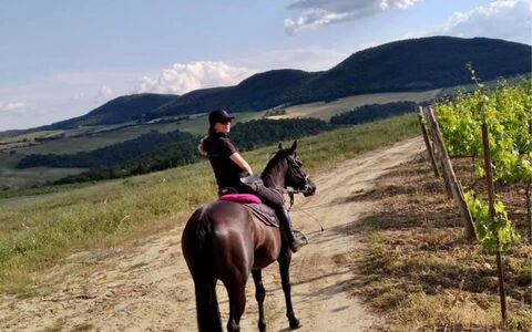 La Casetta nel Bosco: Paard, Lucht, Wolk, Fabriek, Berg