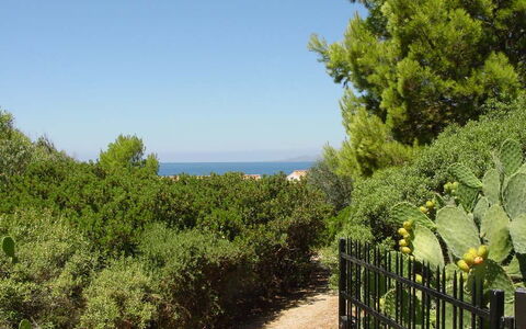 Casa Dei Lentischi: Blad, Groen, Vegetation, Struik, Plantengemeenschap, Zee, Oceaan, Tuin, Shrubland, Evergreen