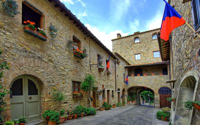 Ciclamini - San Donato, Toscane, Italië - Ciclamini 1
