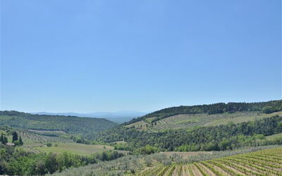 Accommodatie:&nbsp;Il Mandorlo