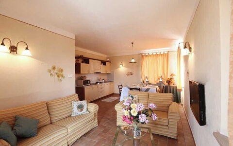 Accommodatie:&nbsp;Maestrale