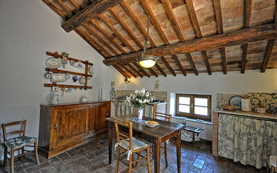 Accommodatie:&nbsp;Viterbese 2