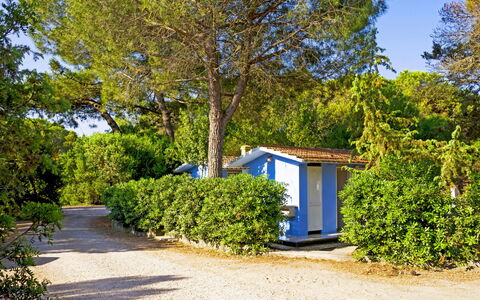 Accommodatie:&nbsp;Etruria 200.7