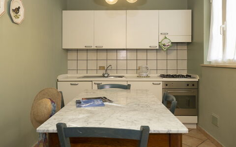 Accommodatie:&nbsp;Barbara 250.2
